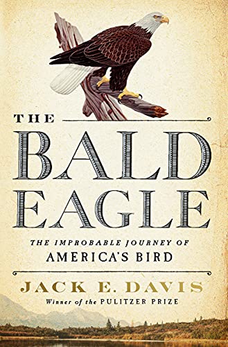 TheBaldEagle