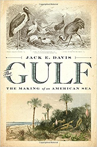 The Gulf - The Making of an American Sea
